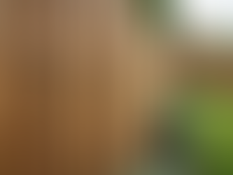 Close Board Fencing Panels: Durable Fencing Panels for Privacy and Security