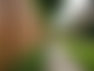 Acoustic Fencing Solutions: Noise Reduction Barriers for Creating Peaceful Spaces