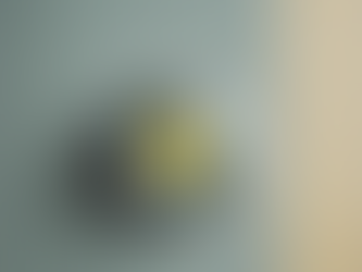 Maximize Energy Savings: HERS Rating Tips for Californians