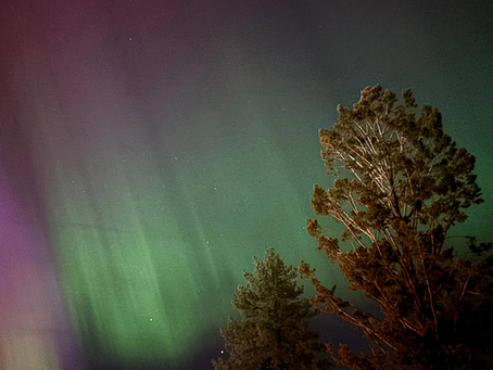 RSRVD, Single, Alternative