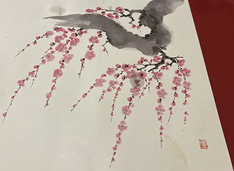 IMG_E9466.jpeg