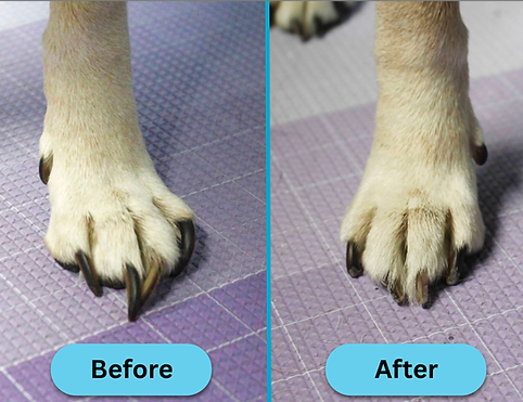 Before-8.png