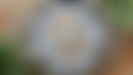 North Yorkshire bio-based businesses join forces to launch new seaweed skincare range