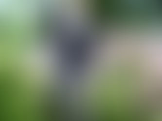 Tai Chi 4 You Open Maand 31 Augustus t/m 29 September 2016