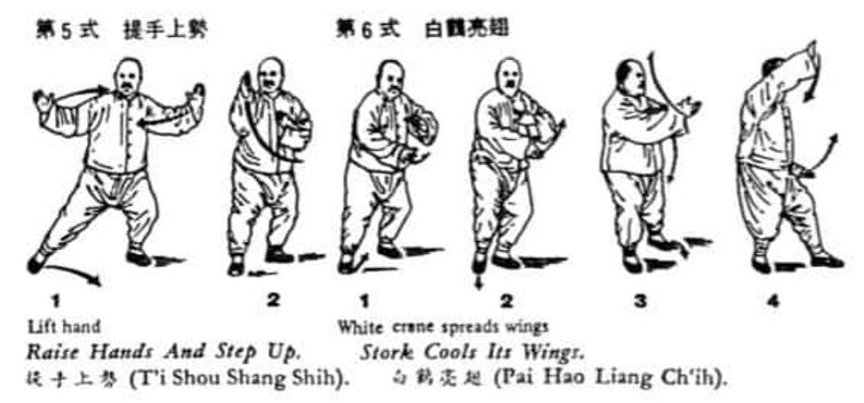 opening of the form 4.jpg