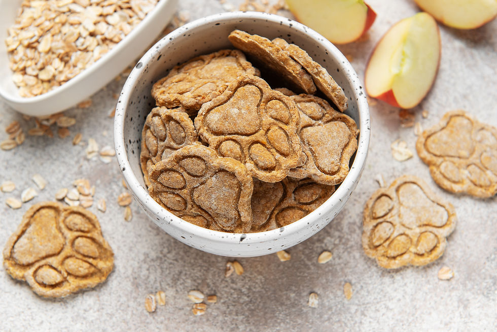 Easy Homemade Dog Treat Recipes