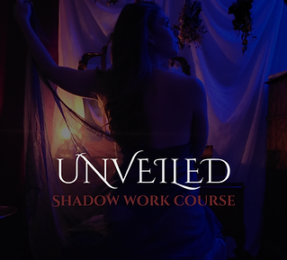 Shadow Workbook (Instagram Post).png