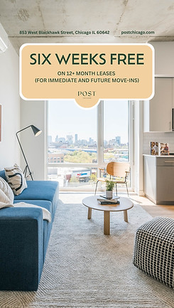 Post Chicago IG Story copy 7.jpeg