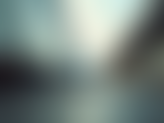 Exploring Same Day Delivery Services