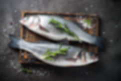 lifestyle - fish.jpeg