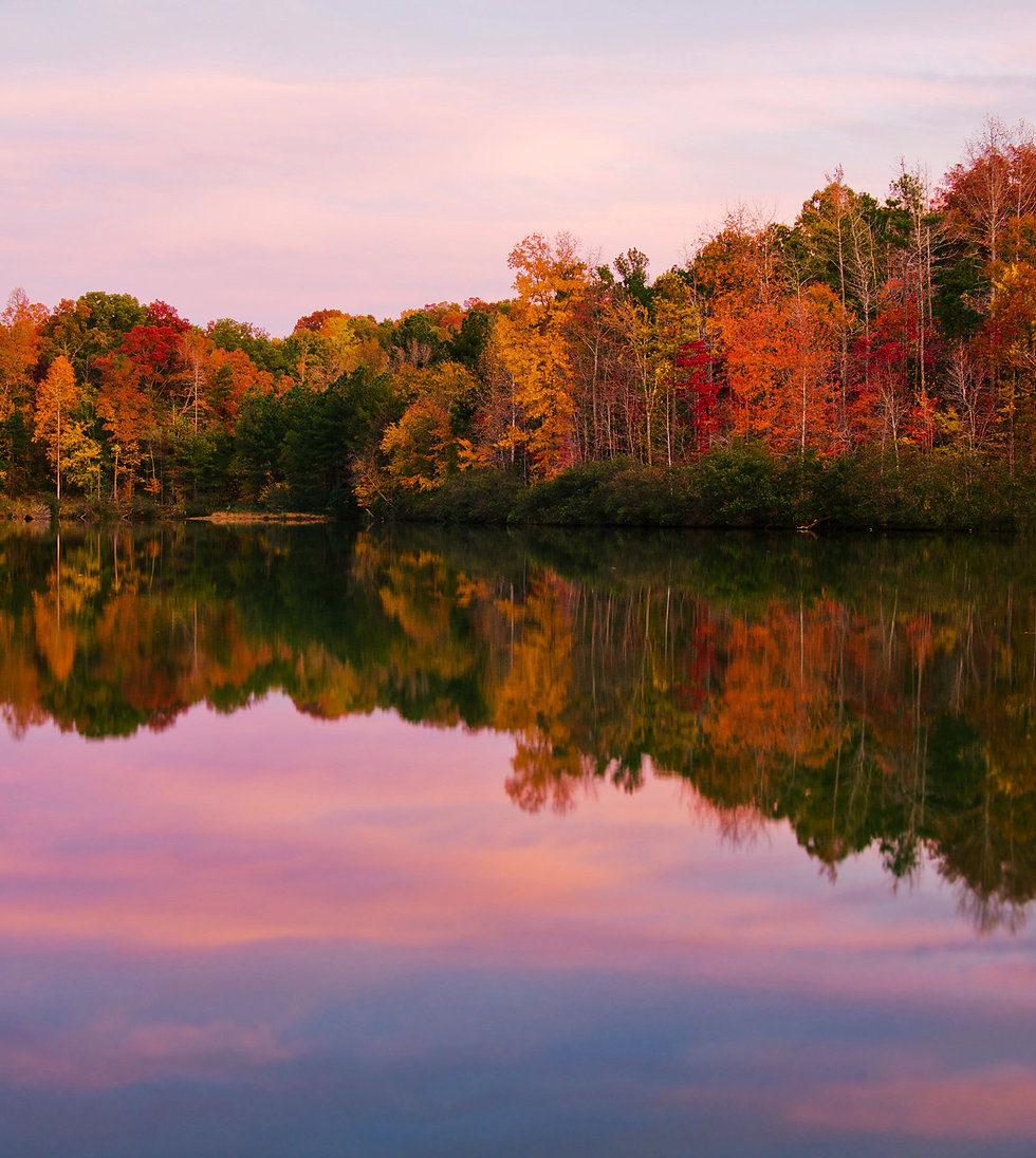Generic - Lake 2.jpeg