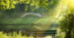 Generic - Park Bench.jpeg