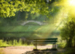 Generic - Park Bench.jpeg