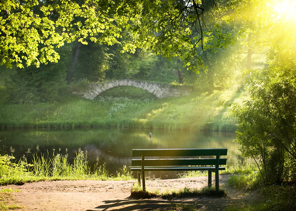 Generic - Park Bench.jpeg