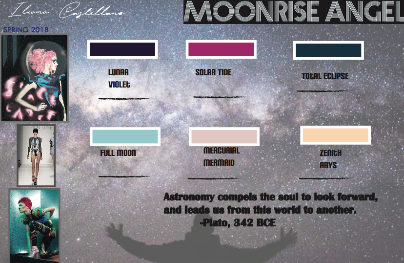 color palette