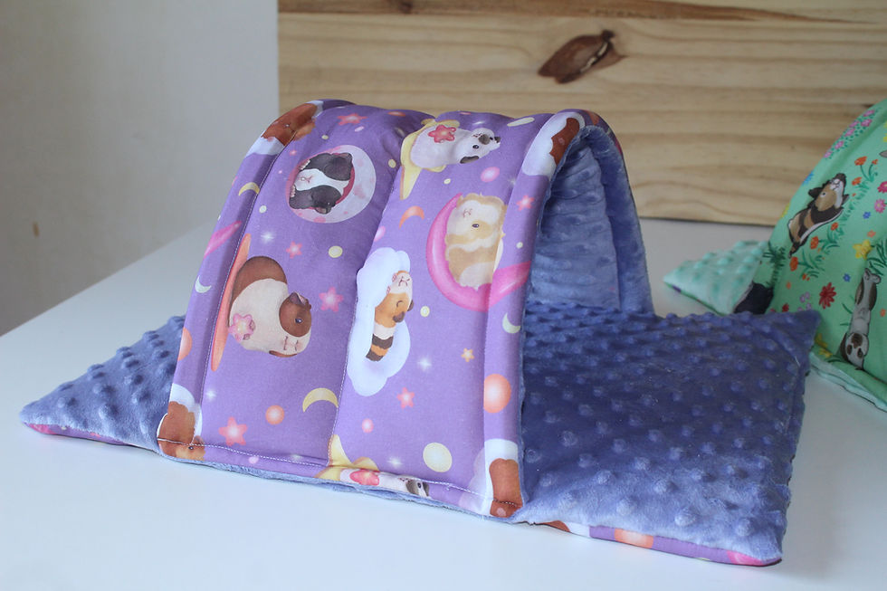 Miniature : Tapis cachette