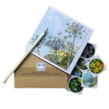 images__33_-removebg-preview.png