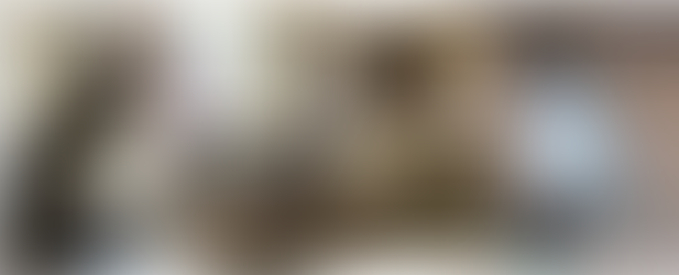 What I learned from these 3-Brothers!