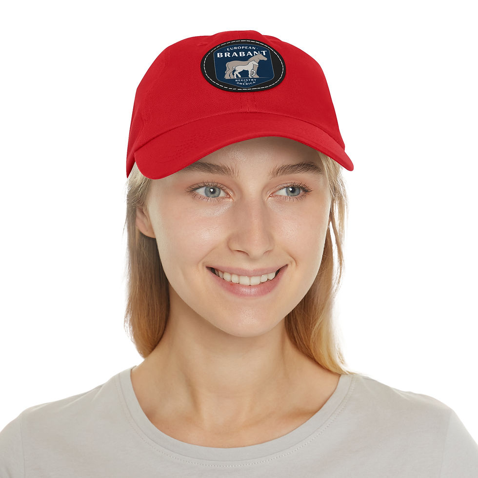 Miniature : EBRA Logo Hat with Leather Patch (Round)