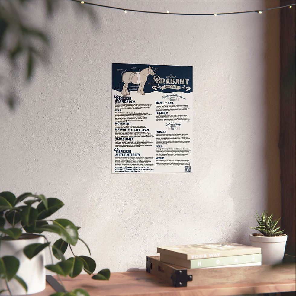 Thumbnail: Brabant Breed Guide Matte Vertical Poster