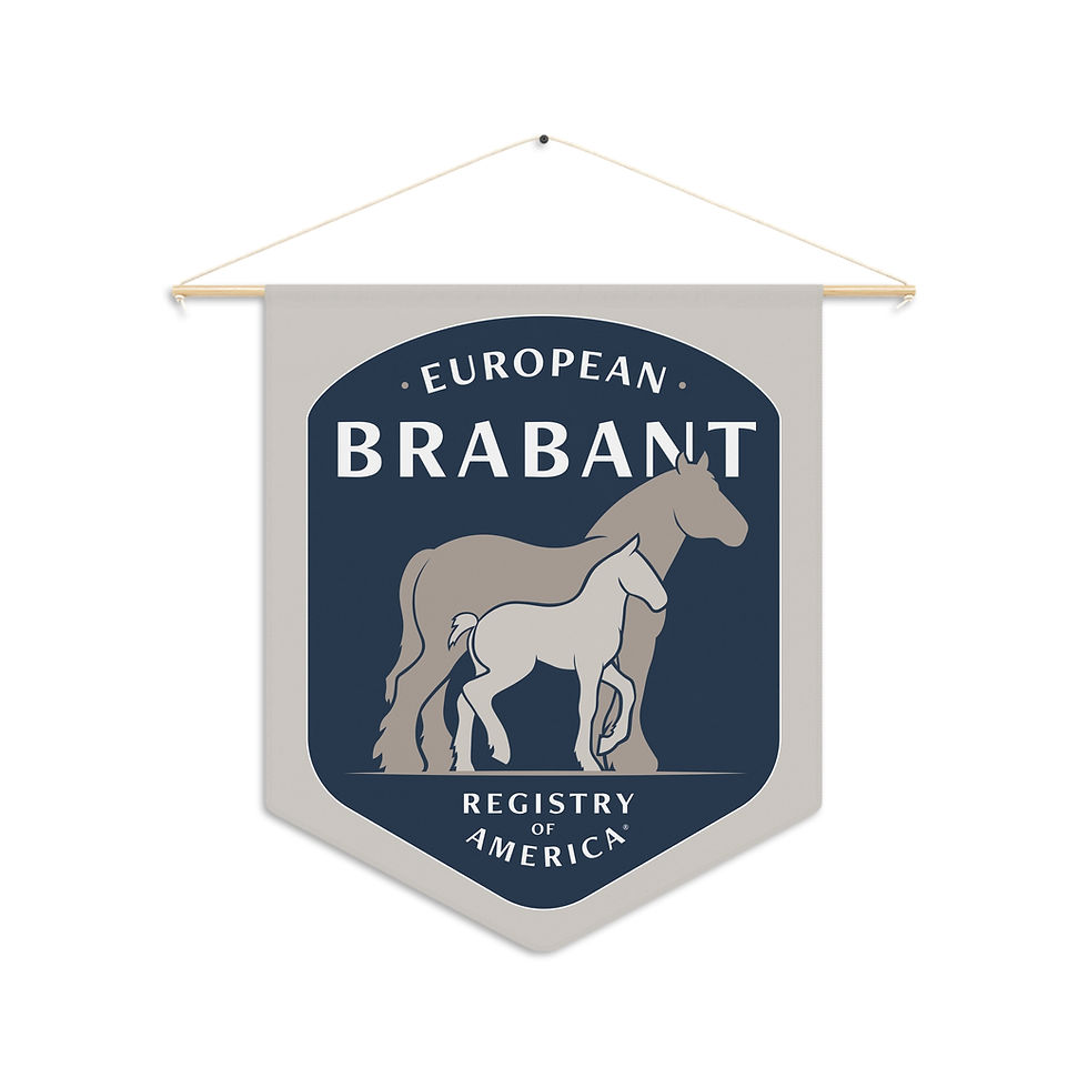 Miniatura: Brabant Horse Pennant Banner 