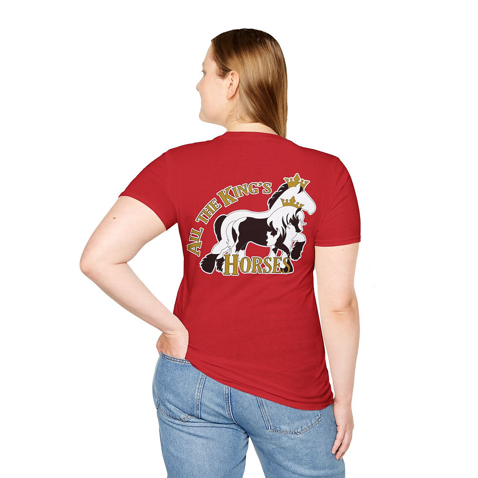 Miniatura: AKH Unisex Softstyle T-Shirt