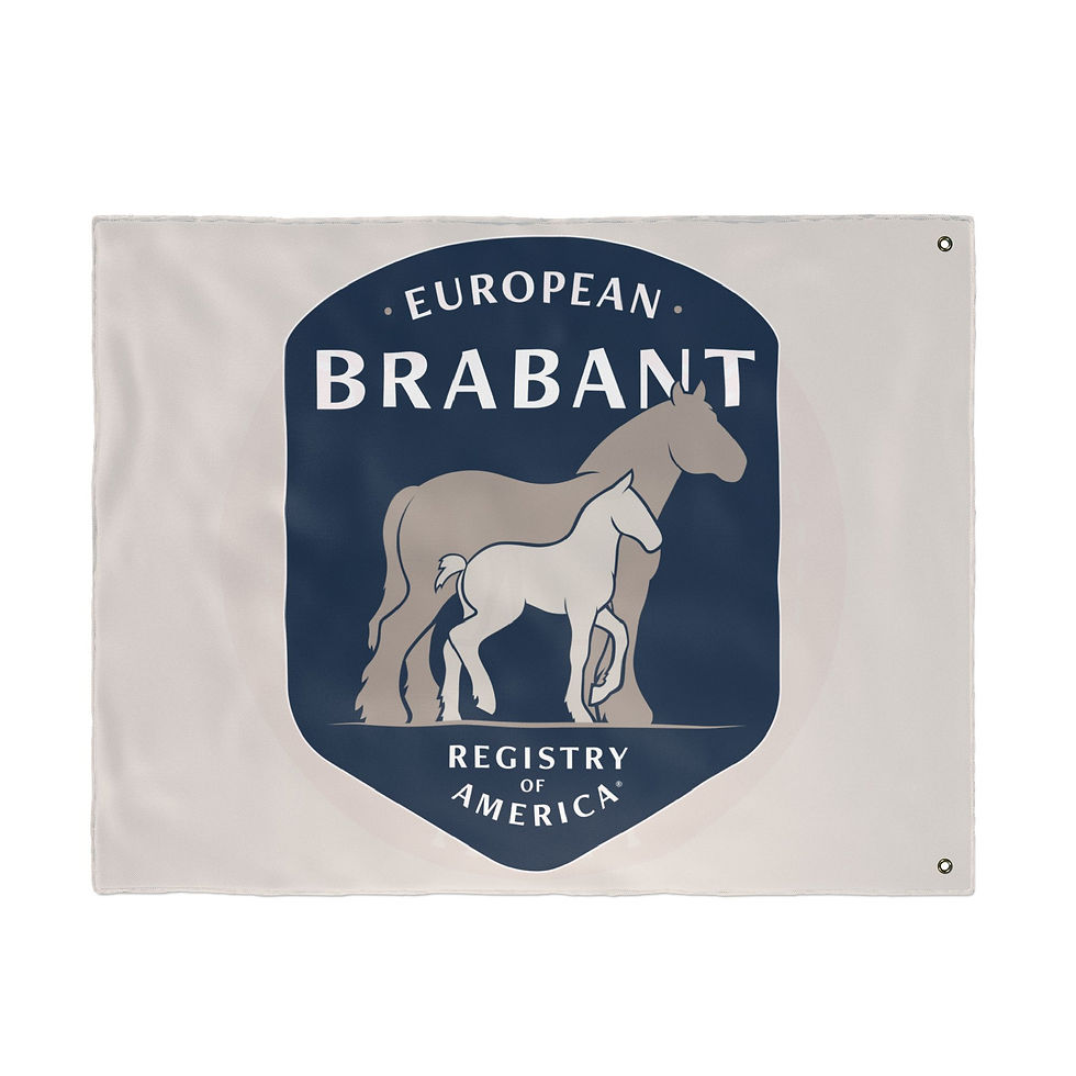 Miniatura: JCF Double-Sided Flag