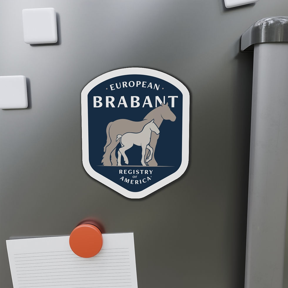 Thumbnail: EBRA Die-Cut Magnets