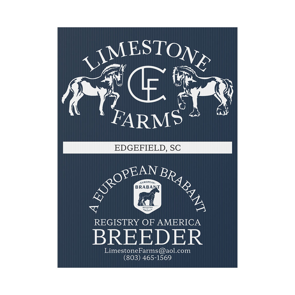 Thumbnail: LSF Brabant Horse Registry Plastic Yard Sign