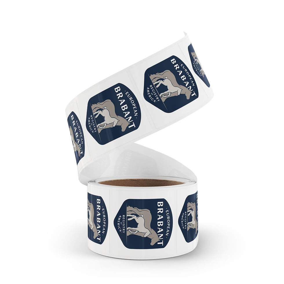 Thumbnail: EBRA Logo Square Sticker Roll