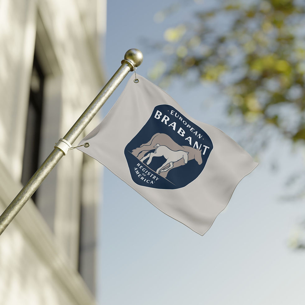 Thumbnail: European Brabant Registry Double-Sided Flag