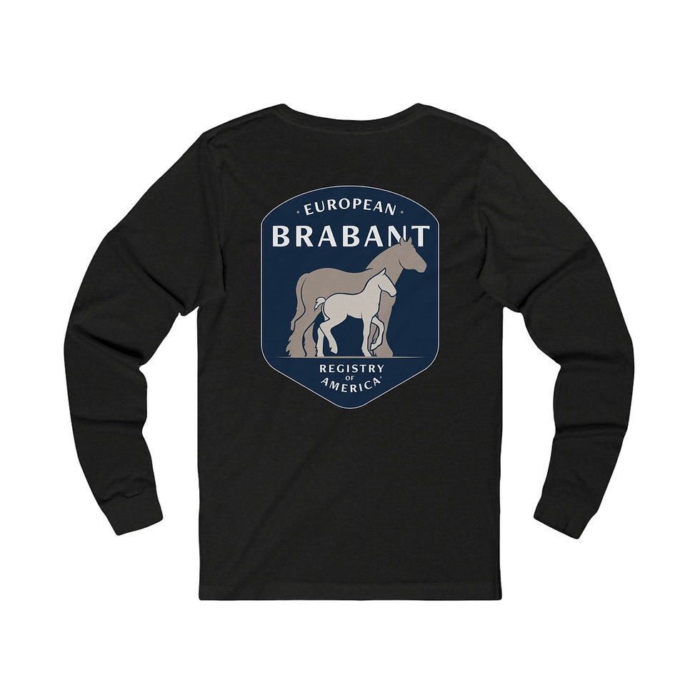 Miniatura: EBRA Unisex Jersey Long Sleeve Tee