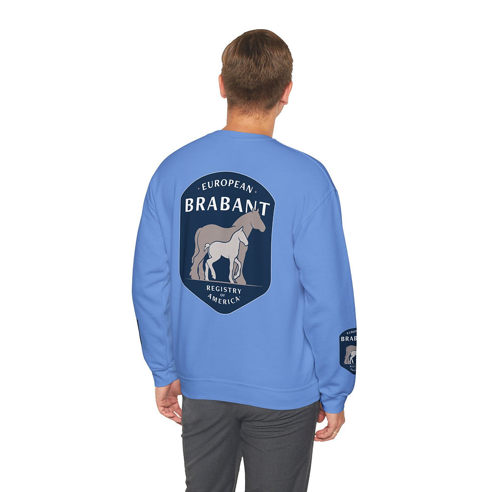 Thumbnail: EBRA Crewneck Sweatshirt