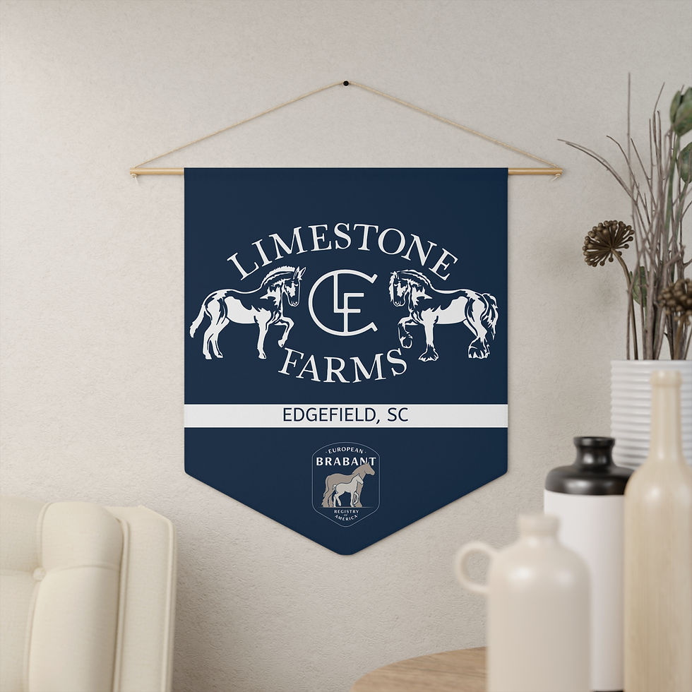 Thumbnail: LSF Brabant Horse Pennant Banner 