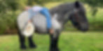 IMG_2371-preview_edited.jpg