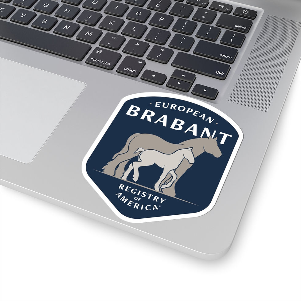 Thumbnail: EBRA Logo Kiss-Cut Decal