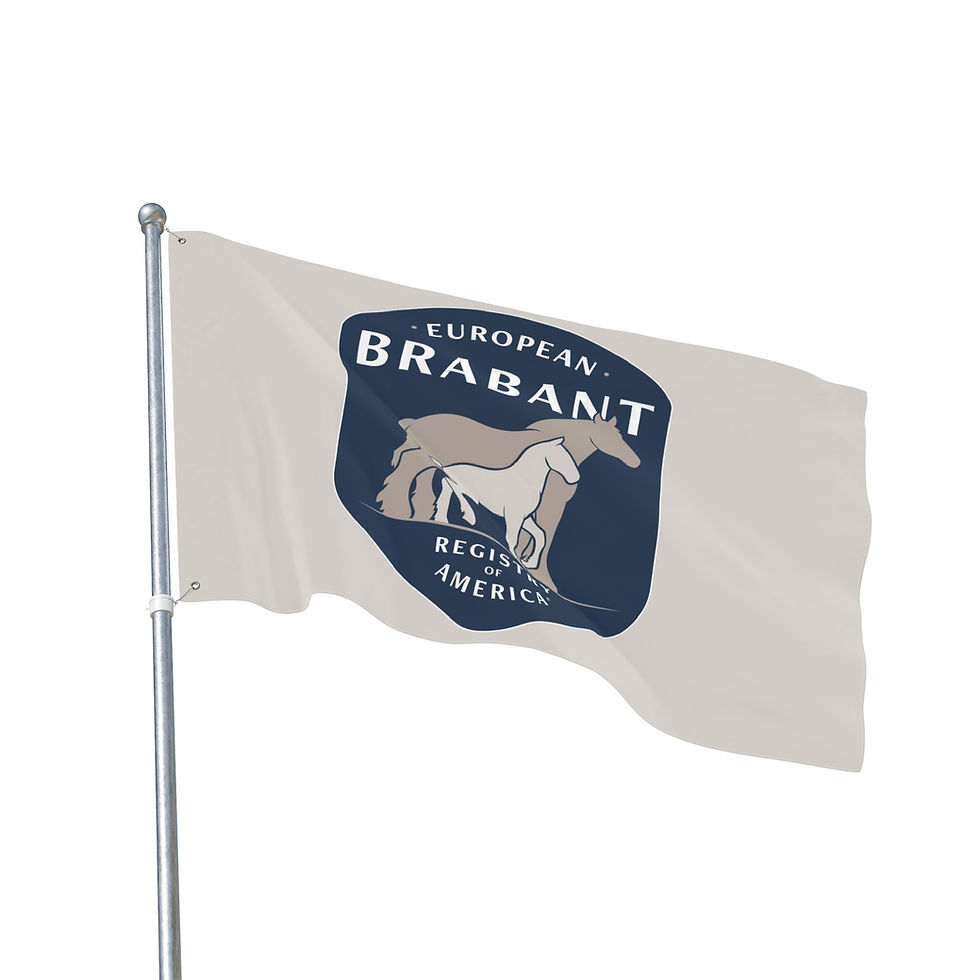 Thumbnail: European Brabant Registry Double-Sided Flag