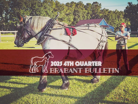 4th Quarter 2025