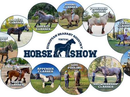 2026 Virtual Horse Show