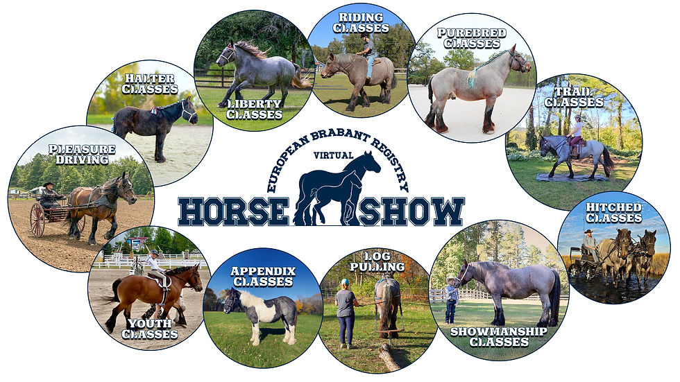 2026 EBRA Virtual Horse Show