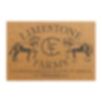 Miniatura: LSF Doormat