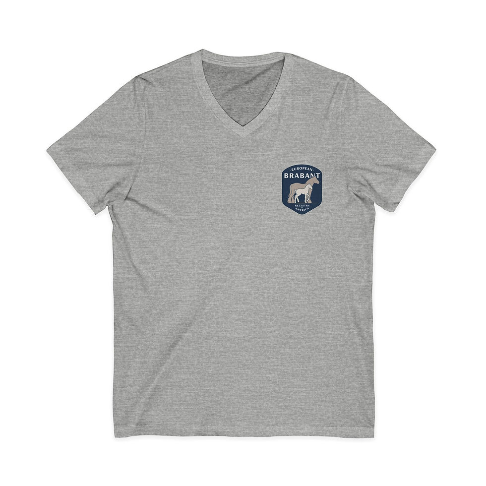 Miniatura: LMF Short Sleeve V-Neck Tee