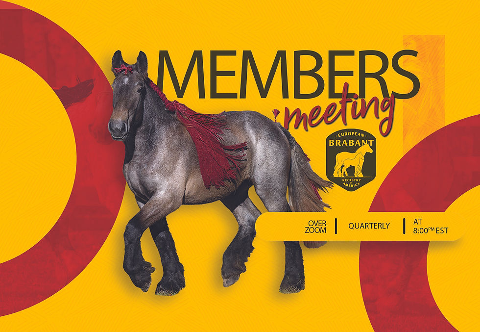 Quarterly Members Meeting
