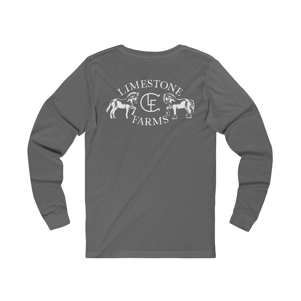 Thumbnail: LSF Unisex Jersey Long Sleeve Tee
