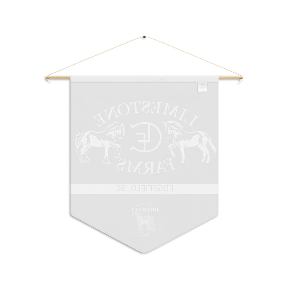 Thumbnail: LSF Brabant Horse Pennant Banner 
