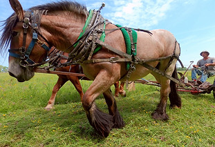 353598664_840314404264976_7843736341201672106_n_edited.jpg