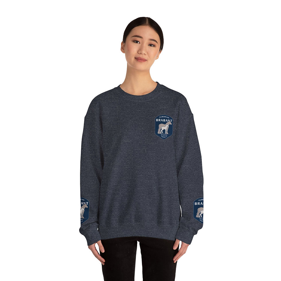 Thumbnail: EBRA Crewneck Sweatshirt