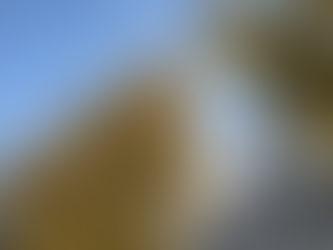 11月29日(土)今日のお稽古