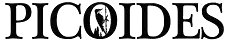 173118419861391881.gif