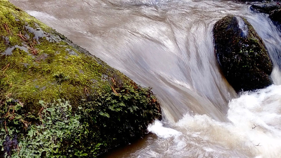 A river with rushing water and mossy stones
